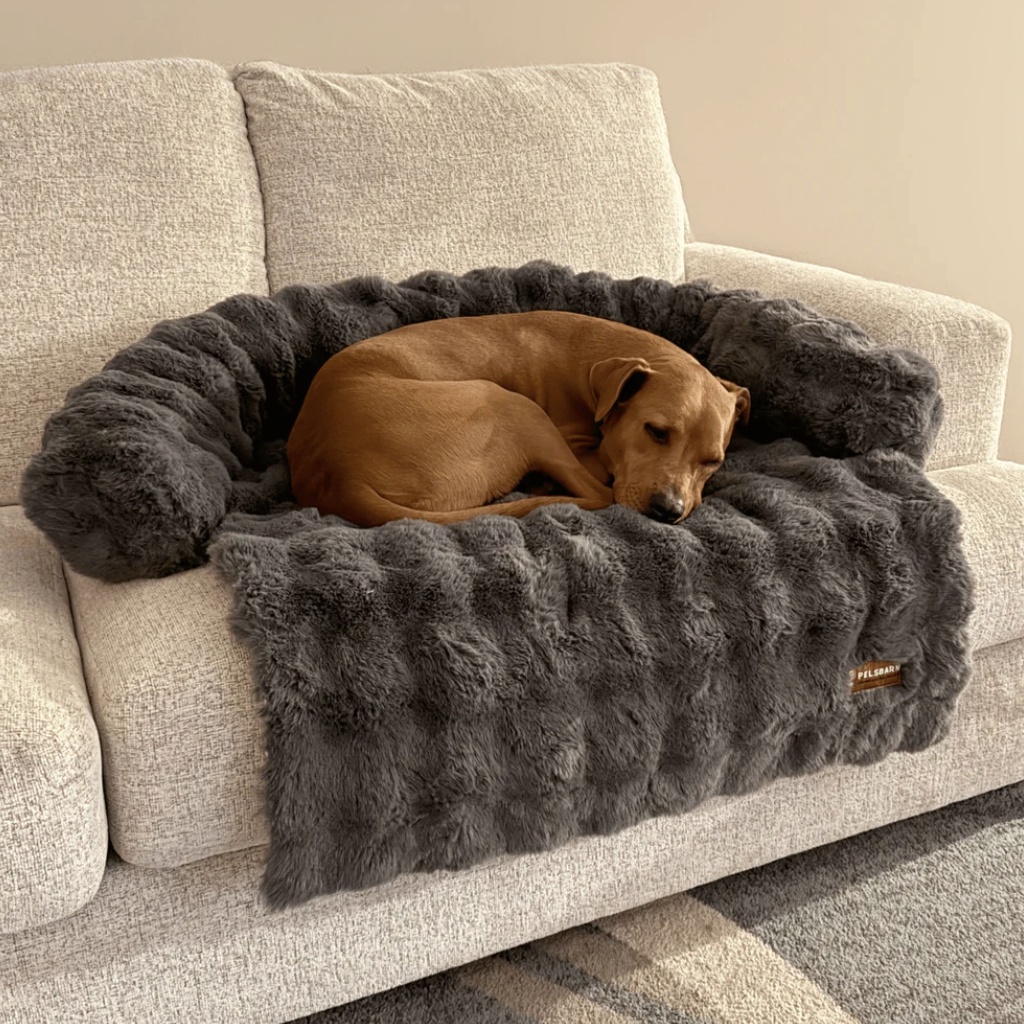 SnugPaws luxurious sofa bed