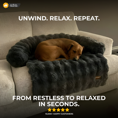 SnugPaws luxurious sofa bed