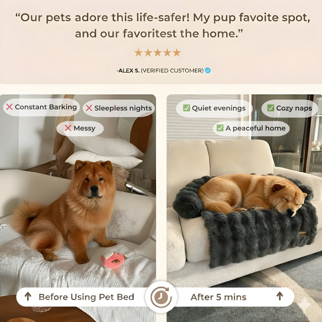 SnugPaws luxurious sofa bed