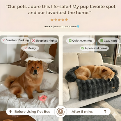 SnugPaws luxurious sofa bed